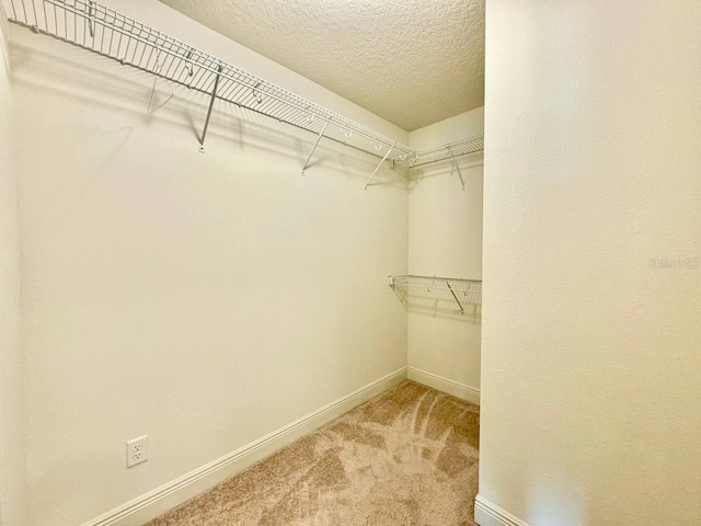 19502 Sea Myrtle Way, Tampa, FL 33647 - spacious closet featuring light carpet