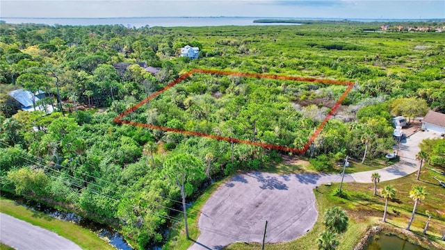 Strathmore Ave, Oldsmar, FL 34677