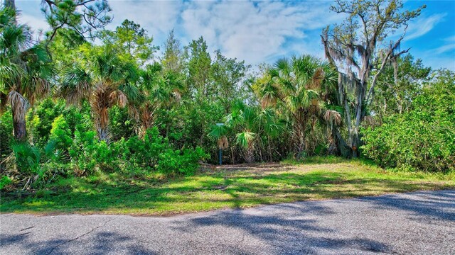 Strathmore Ave, Oldsmar, FL 34677
