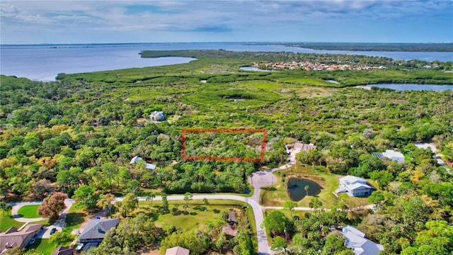Strathmore Ave, Oldsmar, FL 34677