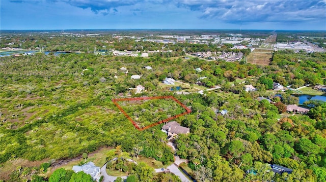 Strathmore Ave, Oldsmar, FL 34677