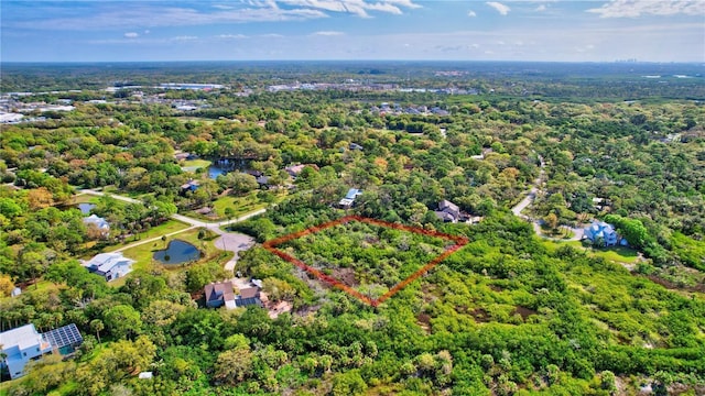 Strathmore Ave, Oldsmar, FL 34677