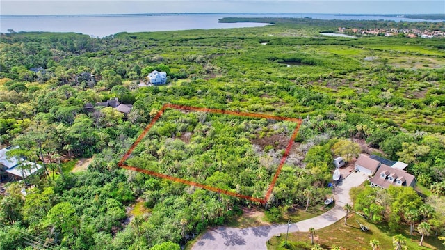 Strathmore Ave, Oldsmar, FL 34677
