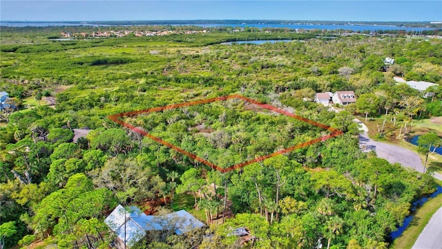 Strathmore Ave, Oldsmar, FL 34677