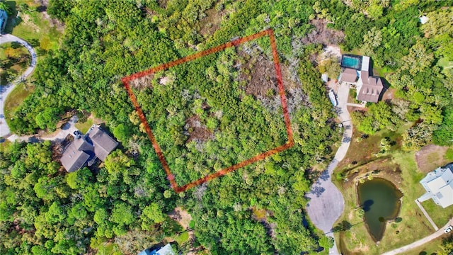 Strathmore Ave, Oldsmar, FL 34677