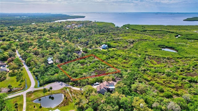 Strathmore Ave, Oldsmar, FL 34677