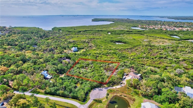 Strathmore Ave, Oldsmar, FL 34677