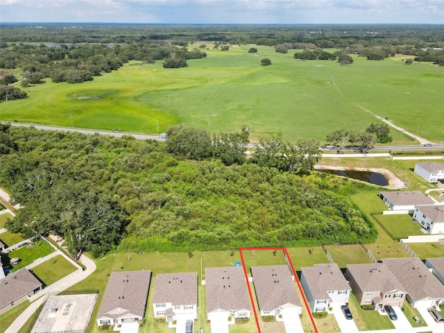 13374 Mylion Way, Spring Hill, FL 34610 - photo 50