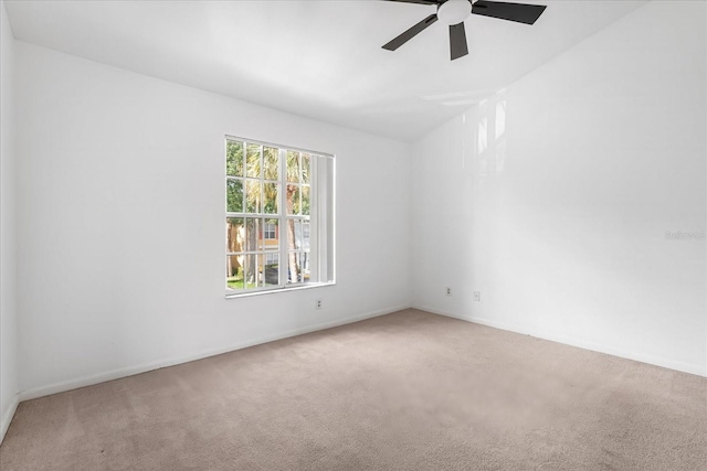 3349 W Wyoming Cir Unit 3349, Tampa, FL 33611 - photo 16