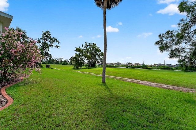 924 Bunker View Dr, Apollo Beach, FL 33572 - photo 66