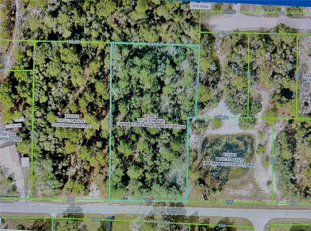 0 Fulton Ave, Weeki Wachee, FL 34613