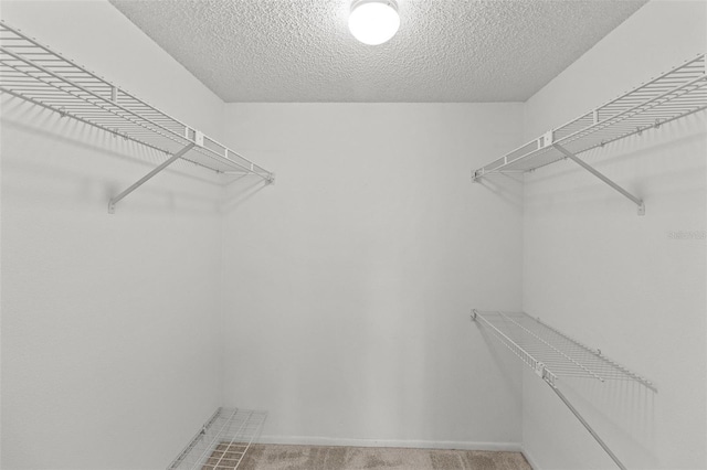 5920 80th St N Unit 308, Saint Petersburg, FL 33709 - spacious closet with light colored carpet