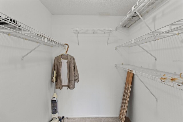 5920 80th St N Unit 308, Saint Petersburg, FL 33709 - view of spacious closet