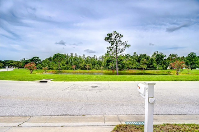12232 Ridgedale Dr, Hudson, FL 34669 - photo 45