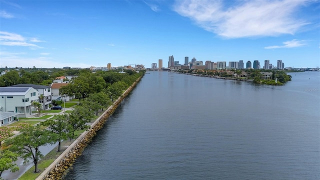 620 E Davis Blvd, Tampa, FL 33606 - photo 17