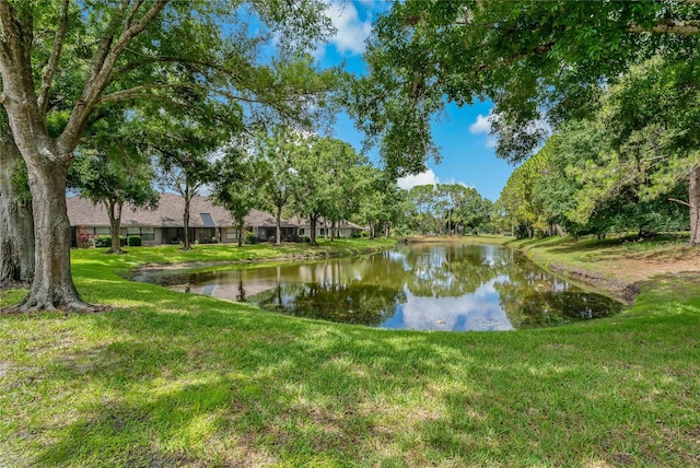 16160 Craigend Pl, Odessa, FL 33556 - photo 4