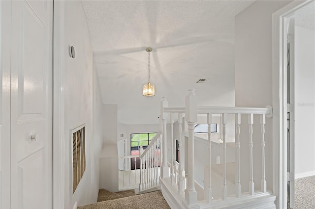 16160 Craigend Pl, Odessa, FL 33556 - photo 12