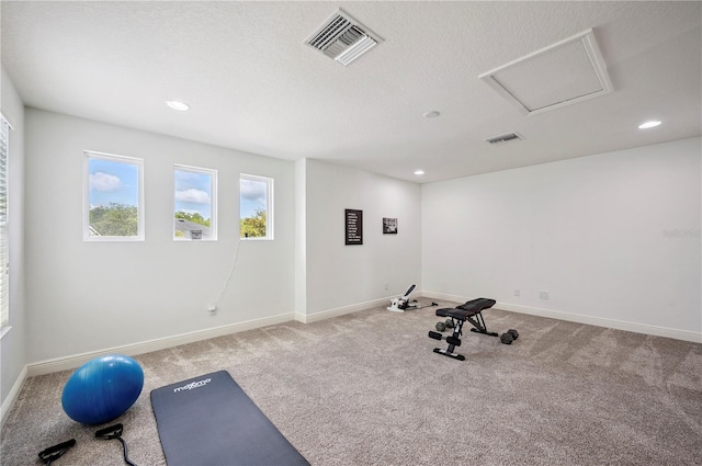 4048 Blue Lantana Ln, Land O Lakes, FL 34638 - photo 50