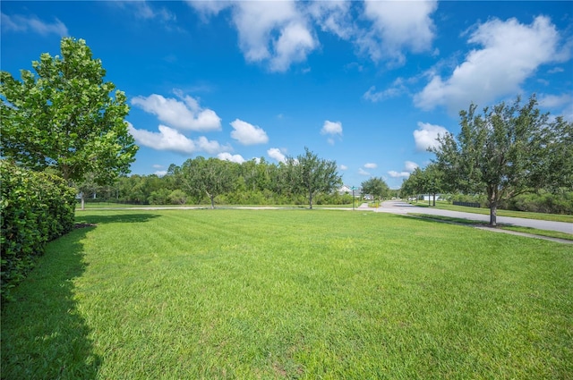 4048 Blue Lantana Ln, Land O Lakes, FL 34638 - photo 56