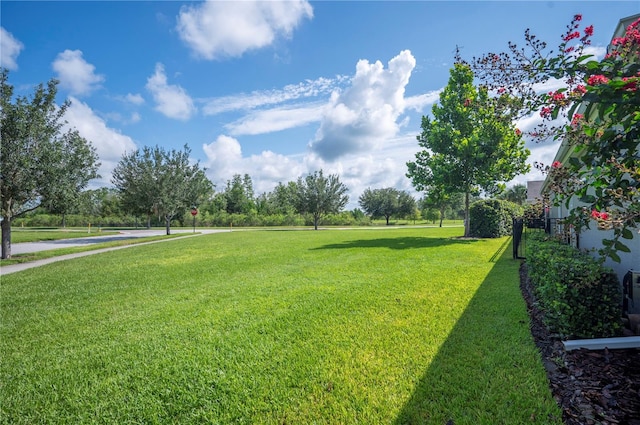 4048 Blue Lantana Ln, Land O Lakes, FL 34638 - photo 57
