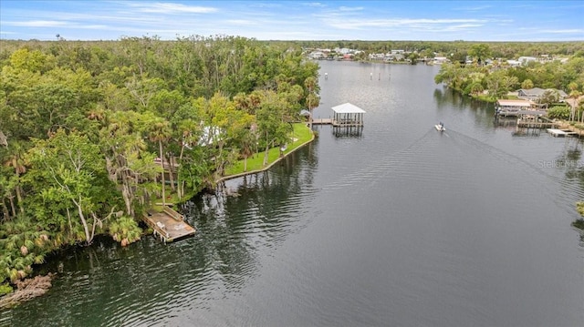 4600 S Lewoods Dr, Homosassa, FL 34448 - photo 3
