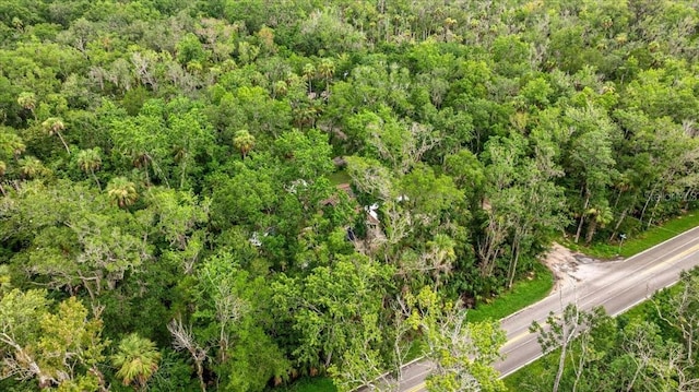 4600 S Lewoods Dr, Homosassa, FL 34448 - photo 51