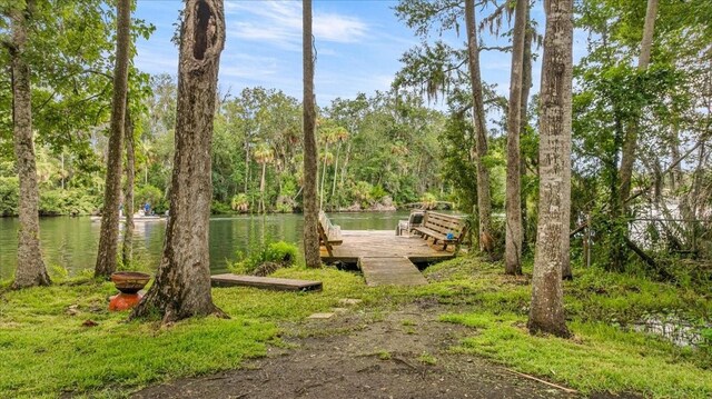 4600 S Lewoods Dr, Homosassa, FL 34448 - photo 57