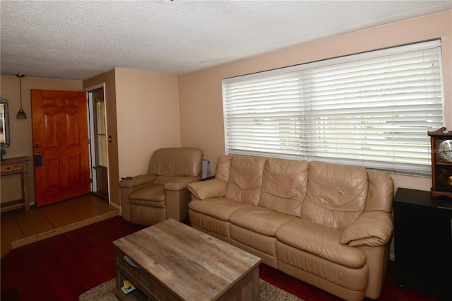 11990 104th Ave, Largo, FL 33778 - living room featuring wood finished floors and a textured ceiling