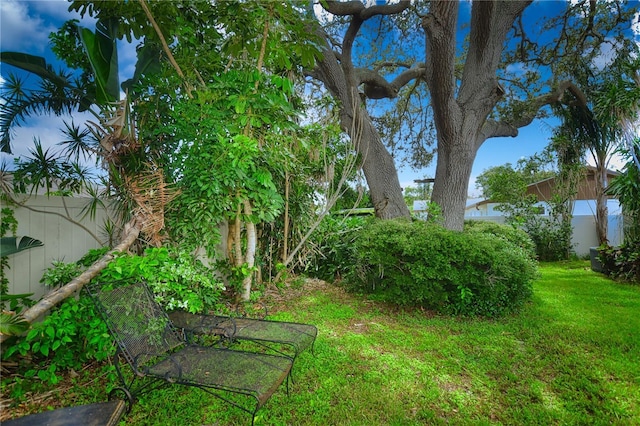 11990 104th Ave, Largo, FL 33778 - view of yard