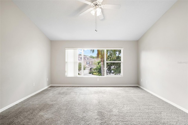 11149 Windsor Place Cir, Tampa, FL 33626 - photo 21