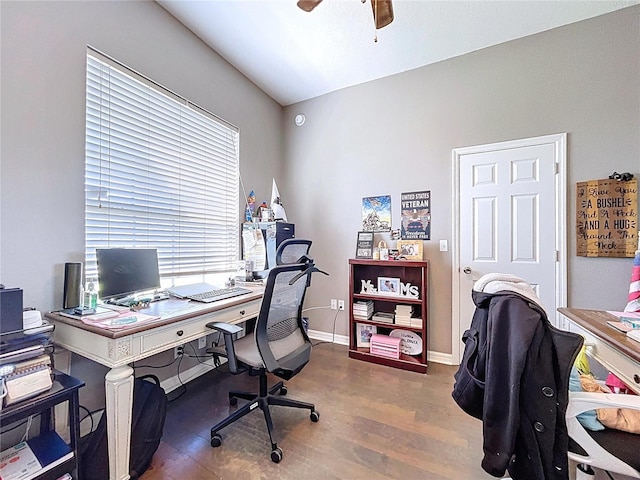 3108 Tom Matthews Rd, Lakeland, FL 33810 - office space featuring wood finished floors and a ceiling fan