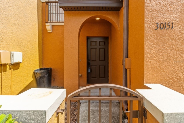 30151 Goodwick Way, Wesley Chapel, FL 33543 - view of exterior entry with stucco siding
