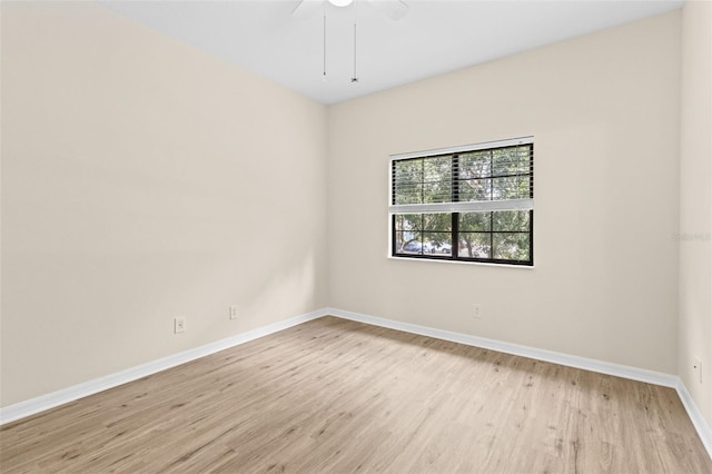 30151 Goodwick Way, Wesley Chapel, FL 33543 - empty room featuring light wood finished floors and ceiling fan