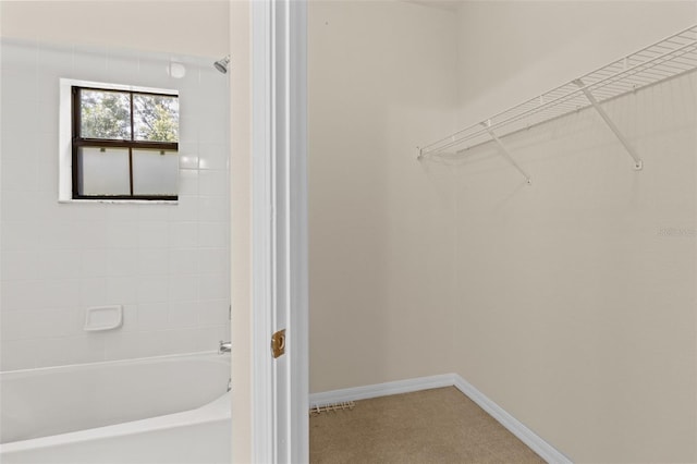 30151 Goodwick Way, Wesley Chapel, FL 33543 - bathroom with tub / shower combination and a spacious closet