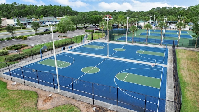 30151 Goodwick Way, Wesley Chapel, FL 33543 - view of basketball court featuring community basketball court