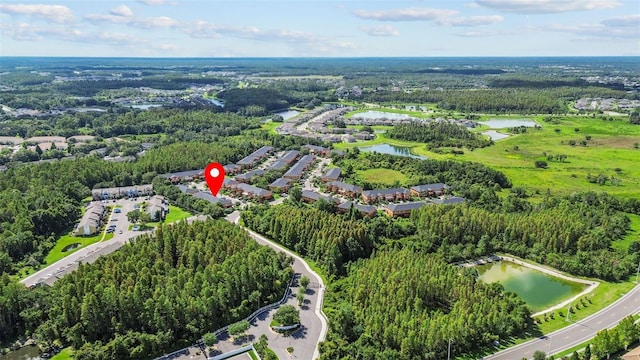30151 Goodwick Way, Wesley Chapel, FL 33543 - drone / aerial view of a nearby body of water