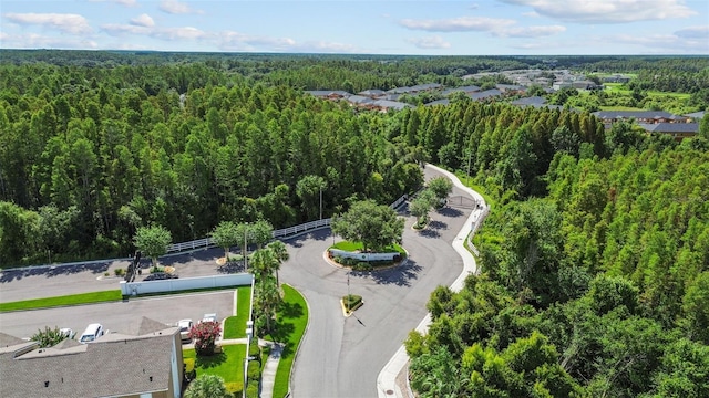 30151 Goodwick Way, Wesley Chapel, FL 33543 - drone / aerial view of a heavily wooded area
