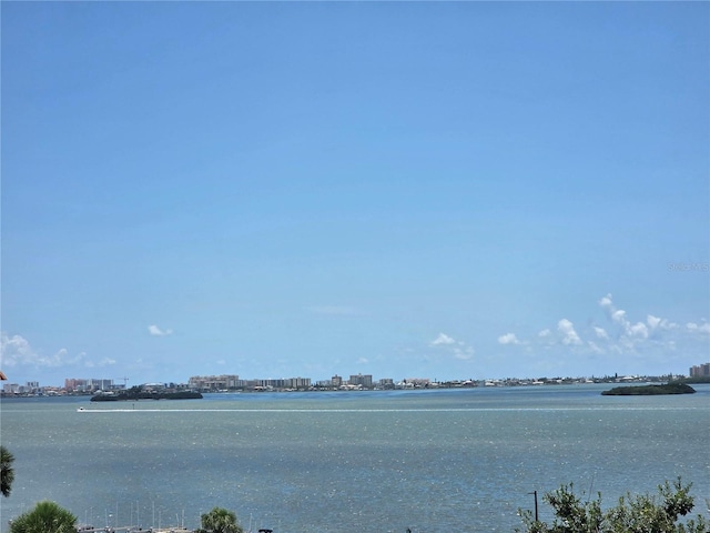 632 Edgewater Dr Unit 633, Dunedin, FL 34698 - water view