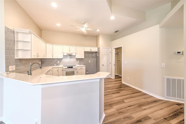 2012 Fall River Ct Unit 107, Sun City Center, FL 33573 - kitchen featuring white electric range, open shelves, under cabinet range hood, a peninsula, and a ceiling fan