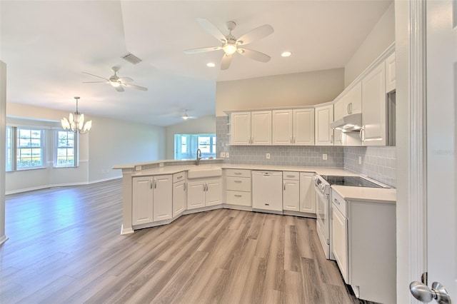 2012 Fall River Ct Unit 107, Sun City Center, FL 33573 - kitchen with white appliances, under cabinet range hood, a peninsula, ceiling fan, and light wood-style flooring