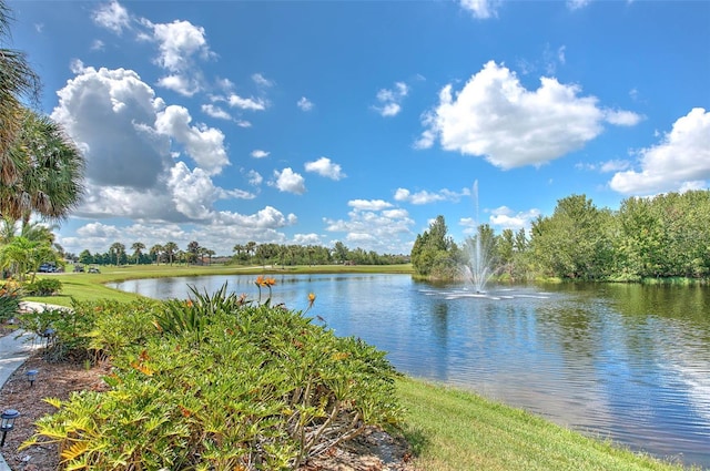 2012 Fall River Ct Unit 107, Sun City Center, FL 33573 - water view