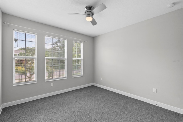 1432 49th Ave N, Saint Petersburg, FL 33703 - photo 15