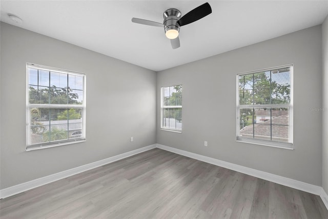 1432 49th Ave N, Saint Petersburg, FL 33703 - photo 24