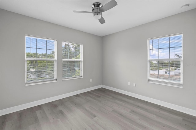 1432 49th Ave N, Saint Petersburg, FL 33703 - photo 28