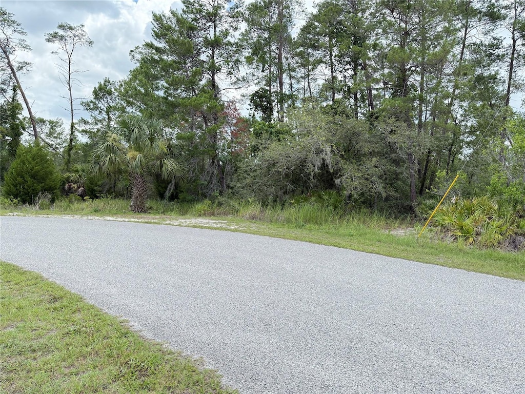 0 Bahama Swallow Ave, Weeki Wachee, FL 34613