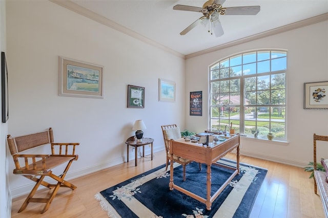 6031 Audubon Manor Blvd, Lithia, FL 33547 - photo 9