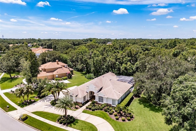 6031 Audubon Manor Blvd, Lithia, FL 33547 - photo 60