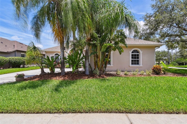 3025 Naughton Way, Tarpon Springs, FL 34688 - photo 6
