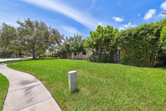 3025 Naughton Way, Tarpon Springs, FL 34688 - photo 69