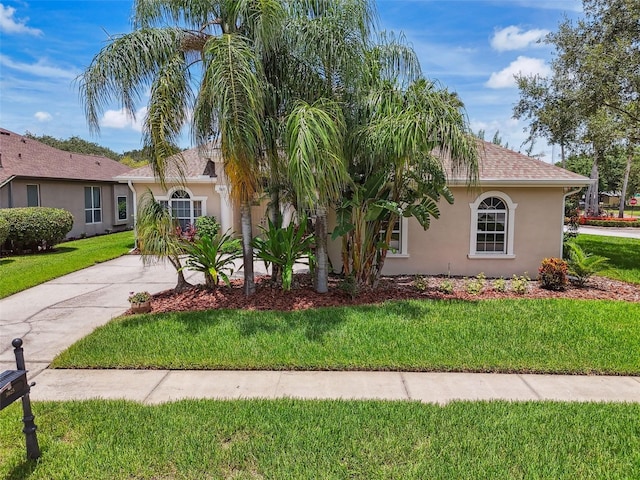 3025 Naughton Way, Tarpon Springs, FL 34688 - photo 70